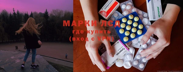 ГАЛЛЮЦИНОГЕННЫЕ ГРИБЫ Горняк