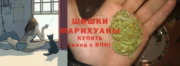 ГАЛЛЮЦИНОГЕННЫЕ ГРИБЫ Горняк