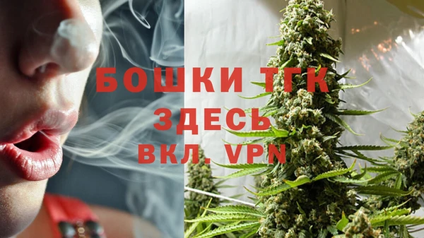 ГАЛЛЮЦИНОГЕННЫЕ ГРИБЫ Горняк