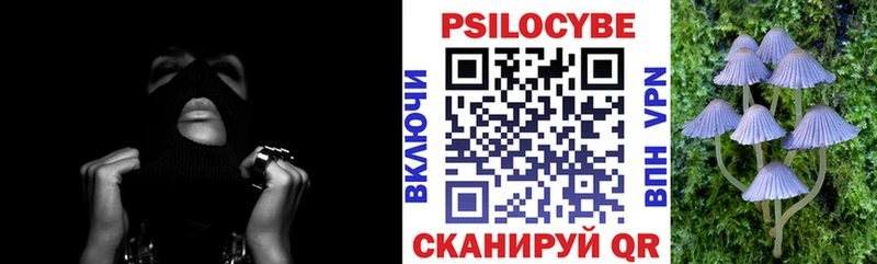 Псилоцибиновые грибы GOLDEN TEACHER  это официальный сайт  Каменск-Уральский  hydra ссылка 